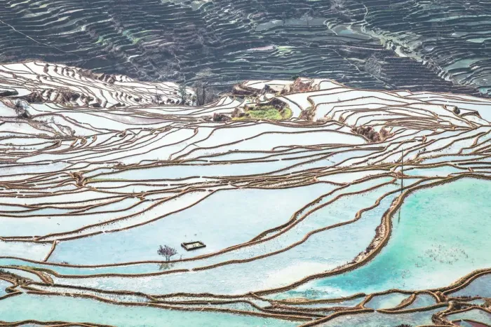 Framed Print : Honghe Landscape