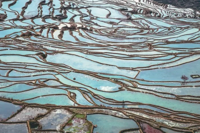 Framed Print : Honghe Landscape