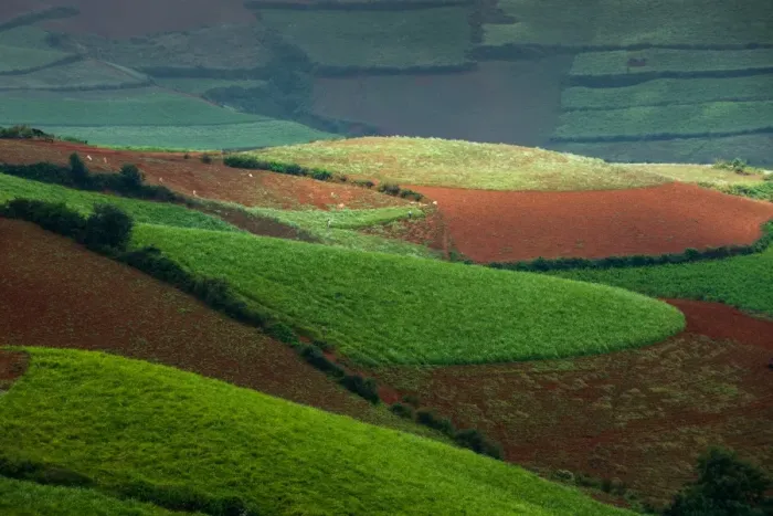 Framed Print : Hongtudi, Dongchuan red soil of Yunnan, China Framed Print : Hongtudi, Dongchuan red soil of Yunnan, China