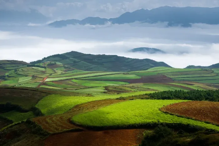 Framed Print : Hongtudi, Dongchuan red soil of Yunnan, China Framed Print : Hongtudi, Dongchuan red soil of Yunnan, China