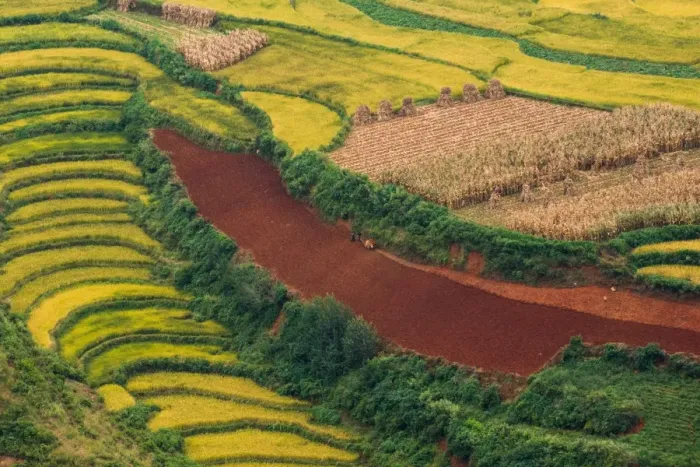 Framed Print : Hongtudi, Dongchuan red soil of Yunnan, China Framed Print : Hongtudi, Dongchuan red soil of Yunnan, China