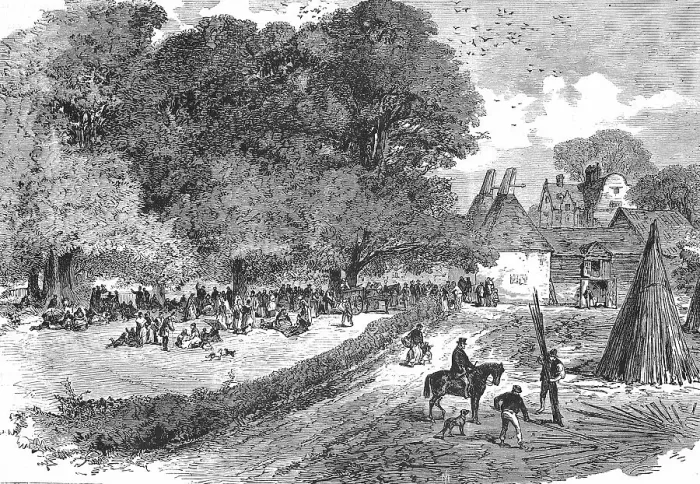 Framed Print : The Hop Harvest, Hop Picking, in the Department du Nord, 1869, France, Historic, digitally restored reproduction of an original 19th century painting, exact original date not known