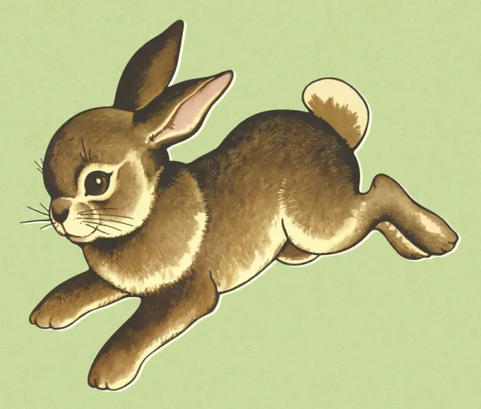 Framed Print : Hopping Rabbit Framed Print : Hopping Rabbit