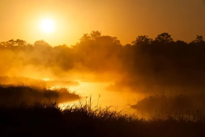 Framed Print : A horizontal, moody, colour image of a winding river with early morning golden light glowing through the mist rising off it and trees and grasses silhouetted along its edge at Machaba, Botswana Framed Print : A horizontal, moody, colour image of a winding river with early morning golden light glowing through the mist rising off it and trees and grasses silhouetted along its edge at Machaba, Botswana