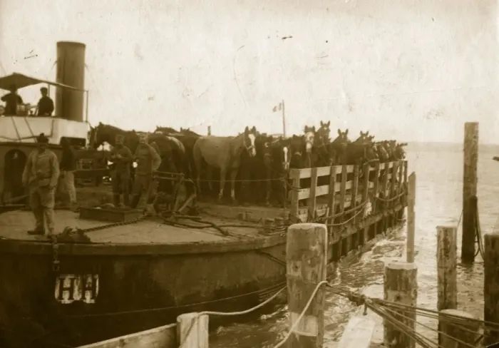 Framed Print : Horse Boat Framed Print : Horse Boat