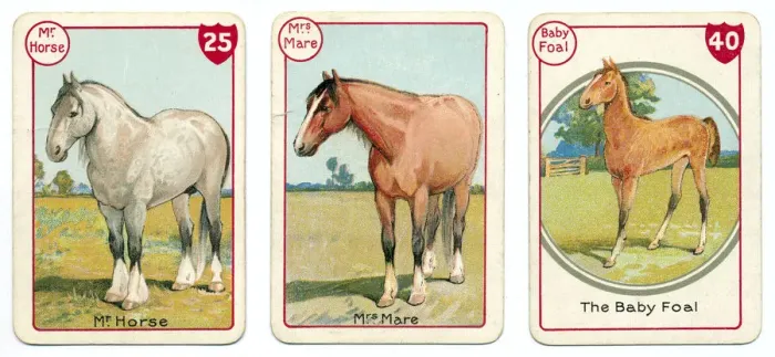 Framed Print : Three horse cards Victorian animal families game Framed Print : Three horse cards Victorian animal families game