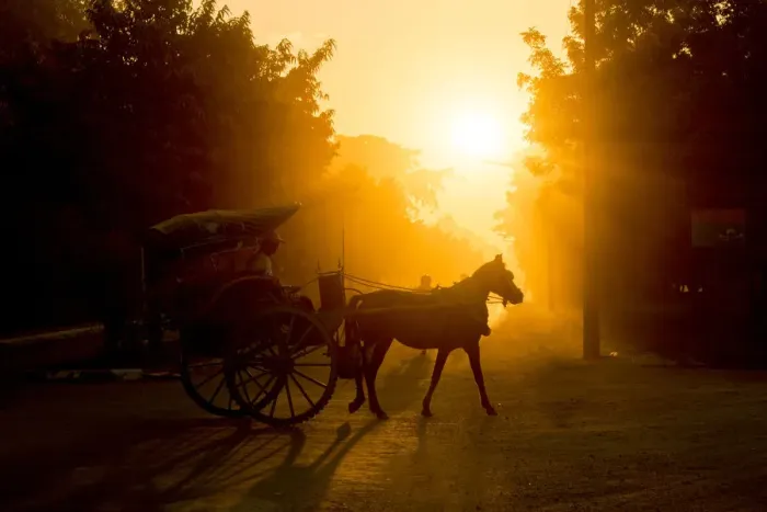 Framed Print : Horse carriage at the Bagan Archaeological Zone, Beautiful sunset scene of horsecart in Bagan, Myanmar Framed Print : Horse carriage at the Bagan Archaeological Zone, Beautiful sunset scene of horsecart in Bagan, Myanmar