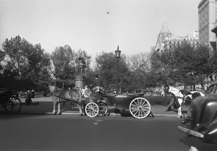 Framed Print : Horse and carriages in street