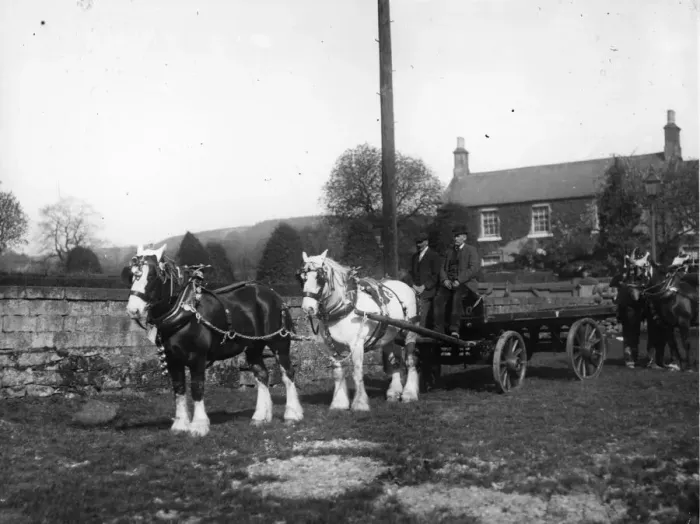Framed Print : Horse And Cart