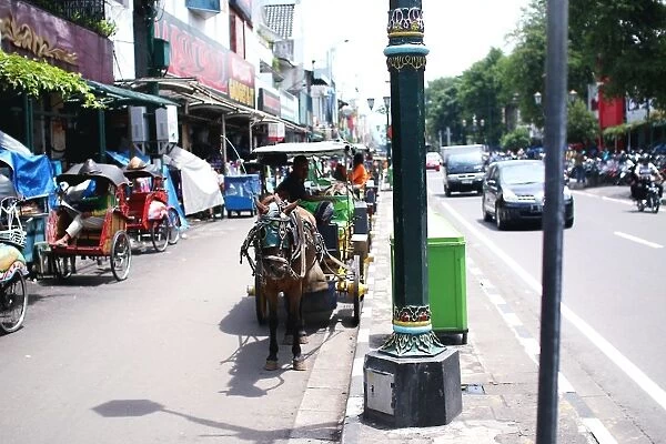 Horse cart on the street at Yogjakarta