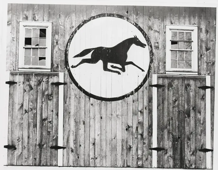 Framed Print : Horse in a Circle Framed Print : Horse in a Circle