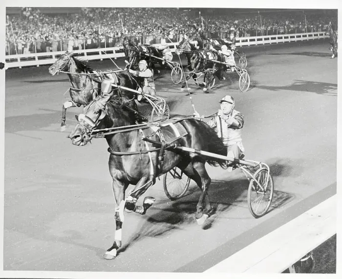 Framed Print : Horse Countess Adies Winning Race Framed Print : Horse Countess Adies Winning Race