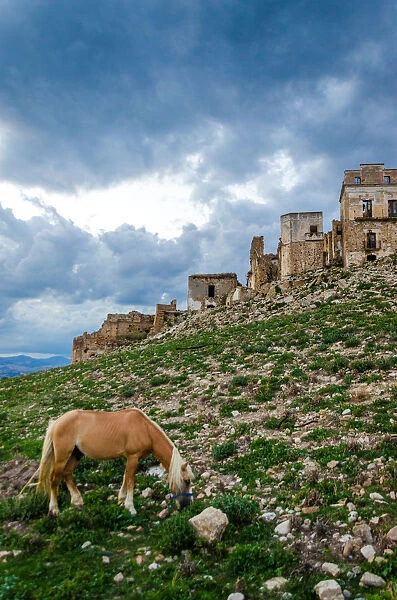 Horse in Craco - The ghost town