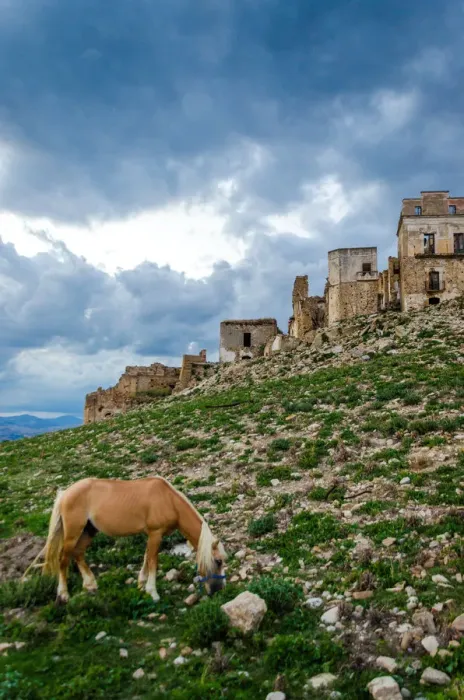 Framed Print : Horse in Craco - The ghost town Framed Print : Horse in Craco - The ghost town