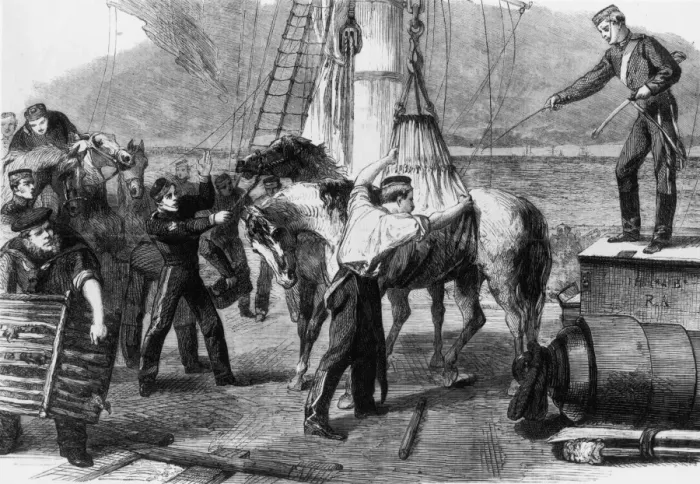 Framed Print : Horse On Deck Framed Print : Horse On Deck
