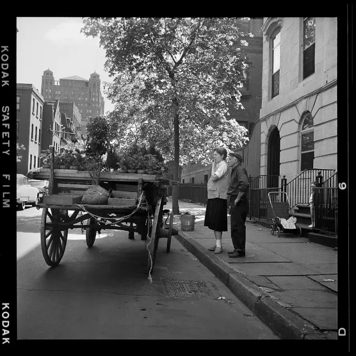 Framed Print : Horse Delivers Plants in 1950's Brooklyn Heights Framed Print : Horse Delivers Plants in 1950's Brooklyn Heights