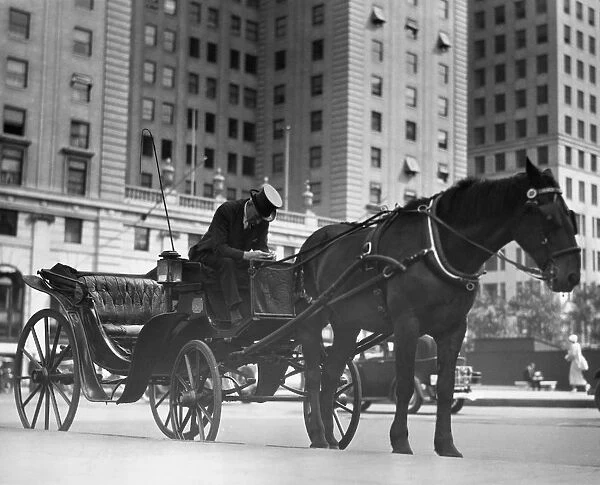 Horse drawn carriage, NYC