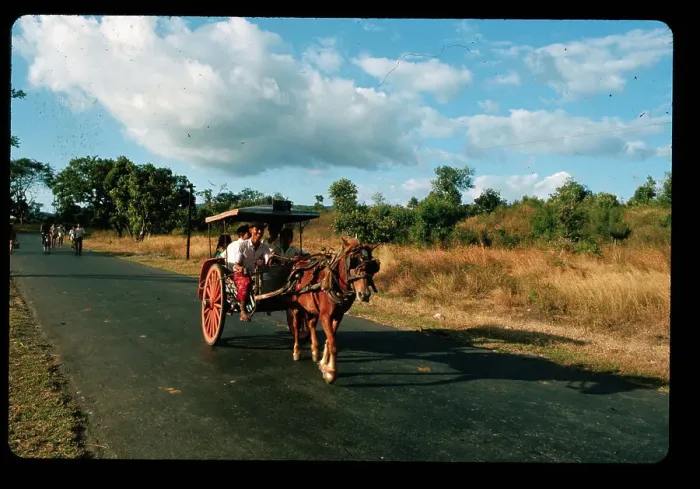Framed Print : Horse Drawn Cart Traveling on Road Framed Print : Horse Drawn Cart Traveling on Road