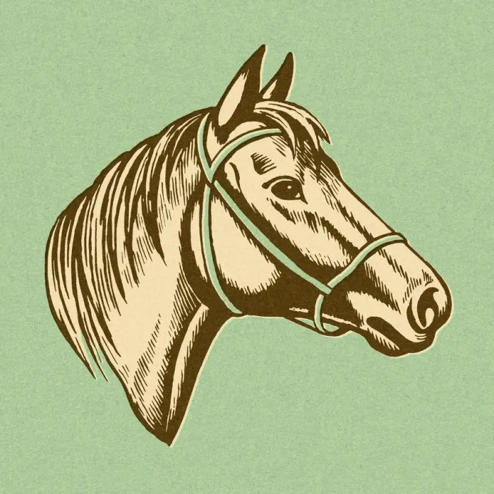 Framed Print : Horse Head Framed Print : Horse Head