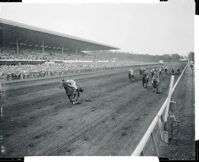 Framed Print : Horse and Jockey Coming to Finish Line Framed Print : Horse and Jockey Coming to Finish Line