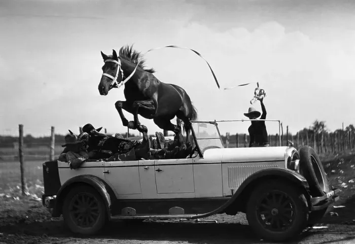 Framed Print : Horse jumping over car