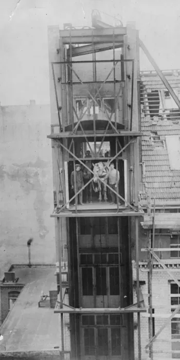 Framed Print : Horse Lift Framed Print : Horse Lift