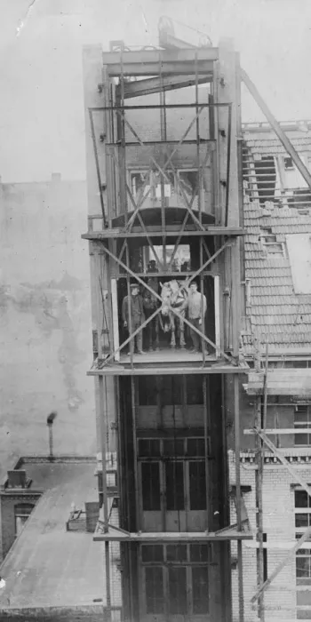 Framed Print : Horse Lift Framed Print : Horse Lift
