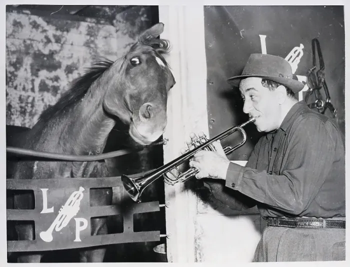 Framed Print : Horse Listening To Trumpeter Prima Framed Print : Horse Listening To Trumpeter Prima