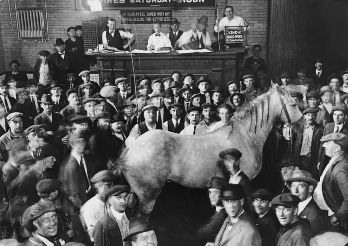 Framed Print : Horse Mart Framed Print : Horse Mart