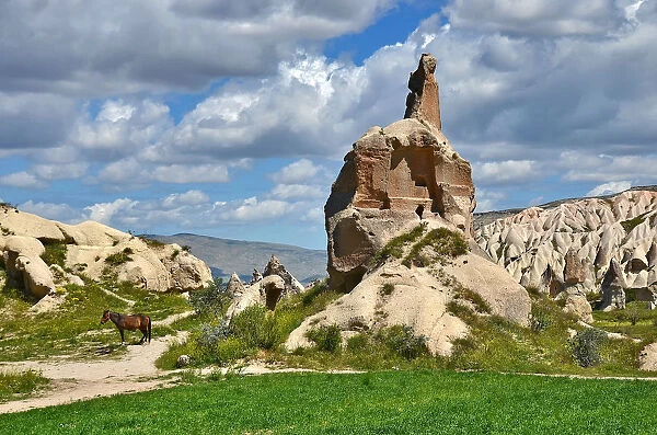 A Horse near Cappadocia Fairys Chimneys