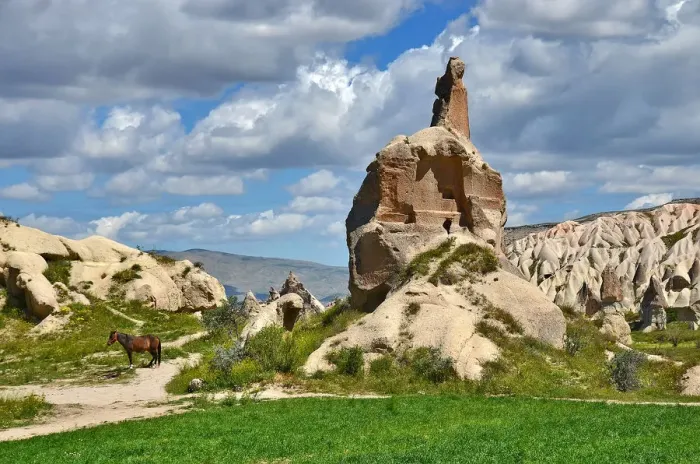 Framed Print : A Horse near Cappadocia Fairys Chimneys Framed Print : A Horse near Cappadocia Fairys Chimneys