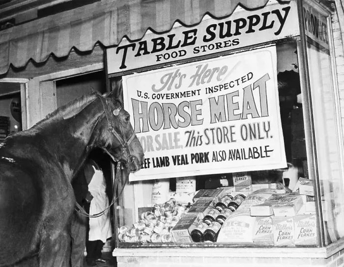 Framed Print : Horse Outside Of Butcher Shop Framed Print : Horse Outside Of Butcher Shop