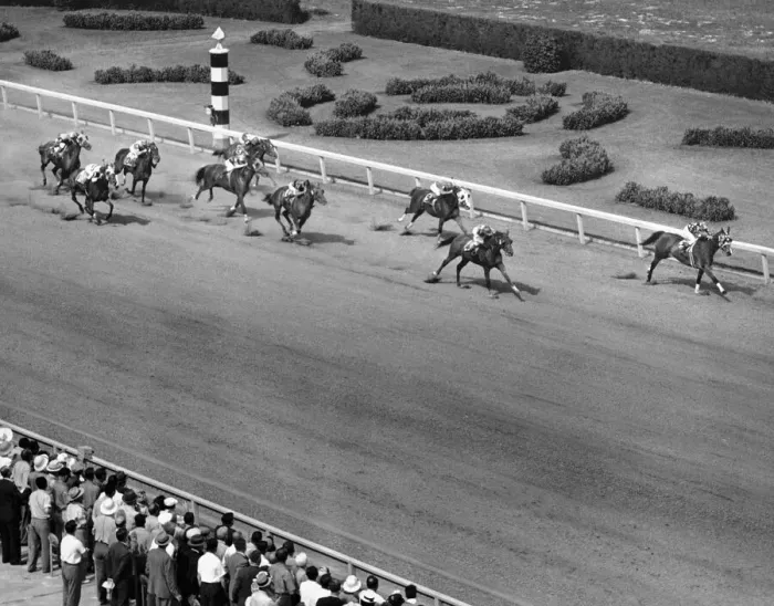 Framed Print : Horse race Framed Print : Horse race