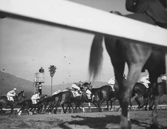 Framed Print : Horse Race Framed Print : Horse Race