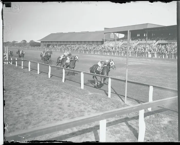 Framed Print : Horse Race at the Finish Framed Print : Horse Race at the Finish