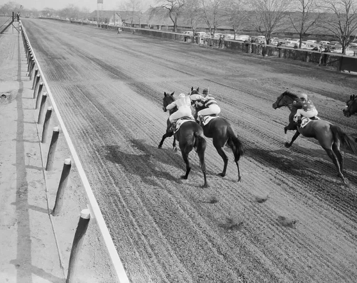 Framed Print : Horse Racing Action Framed Print : Horse Racing Action
