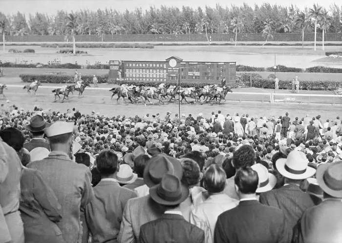 Framed Print : Horse Racing in Action Framed Print : Horse Racing in Action