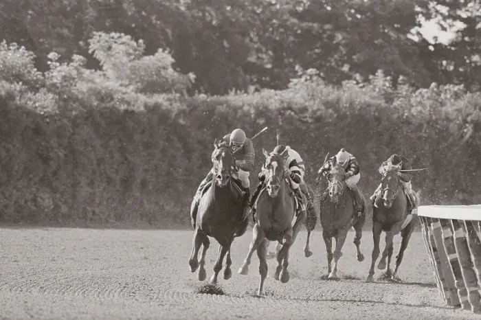 Framed Print : Horse Racing at Belmont Stakes Framed Print : Horse Racing at Belmont Stakes