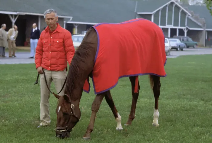 Framed Print : Horse Rider Allowing Winning Alydar to Graze Framed Print : Horse Rider Allowing Winning Alydar to Graze