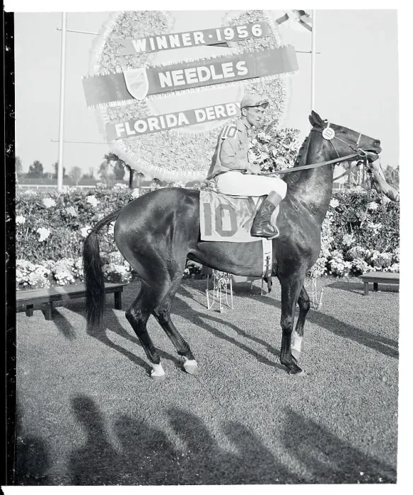 Framed Print : Horse and Rider Posing in Front of a Winner's Plaque Framed Print : Horse and Rider Posing in Front of a Winner's Plaque
