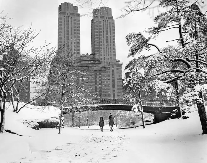 Framed Print : Horse Riders in Central Park Winter Framed Print : Horse Riders in Central Park Winter