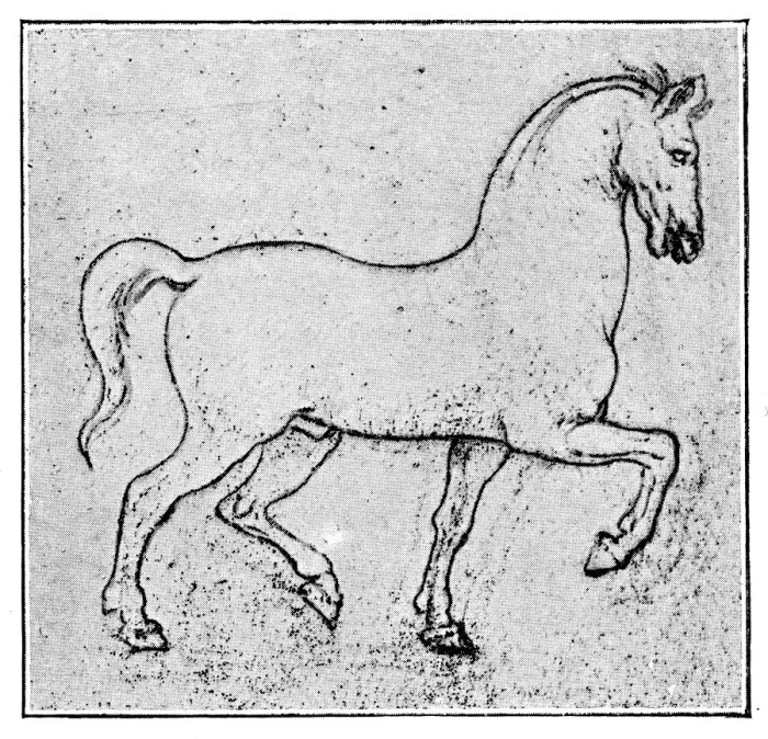 Framed Print : Horse Sketch by Leonardo Da Vinci Framed Print : Horse Sketch by Leonardo Da Vinci