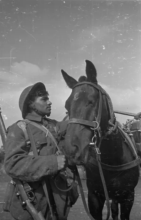 Framed Print : Horse And Soldier Framed Print : Horse And Soldier