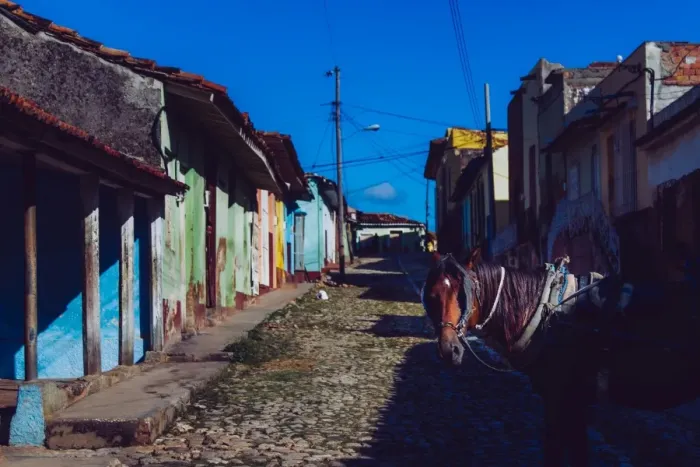 Framed Print : Horse on a street of Trinidad, Cuba Framed Print : Horse on a street of Trinidad, Cuba
