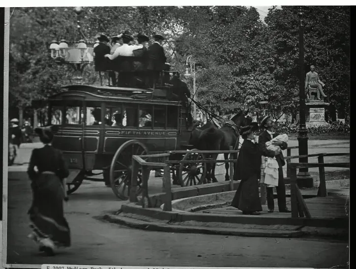 Framed Print : Horsedrawn Coach in Madison Park Framed Print : Horsedrawn Coach in Madison Park