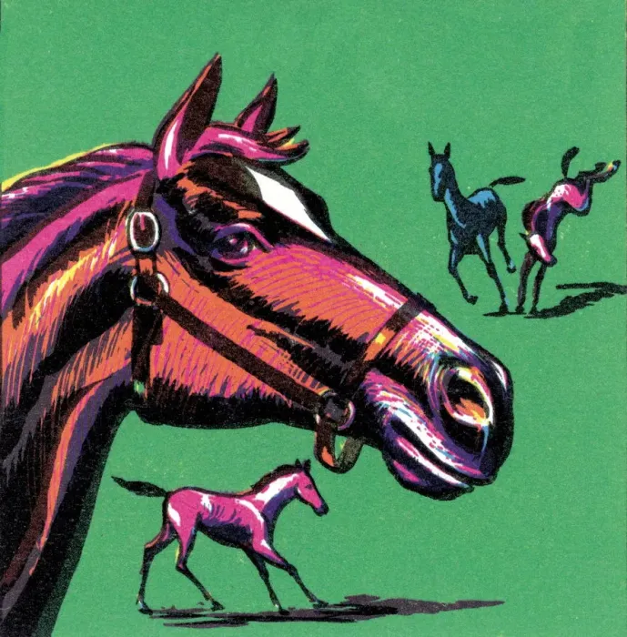 Framed Print : Horses. http: / / csaimages.com / images / istockprofile / csa_vector_dsp.jpg Framed Print : Horses. http: / / csaimages.com / images / istockprofile / csa_vector_dsp.jpg
