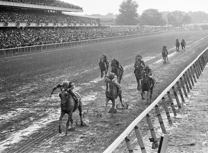 Framed Print : Horses Finishing at Belmont Stakes Framed Print : Horses Finishing at Belmont Stakes