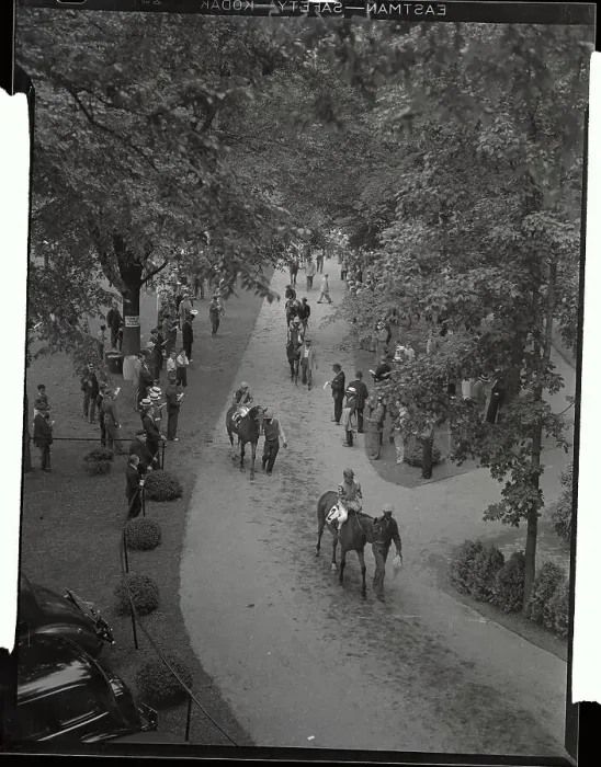 Framed Print : Horses Being Led to Race Track Framed Print : Horses Being Led to Race Track