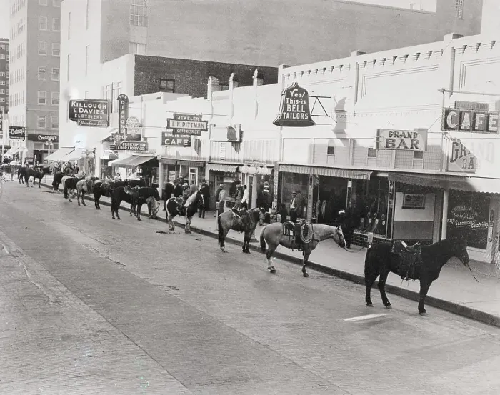 Framed Print : Horses Parked At Parking Meters Framed Print : Horses Parked At Parking Meters