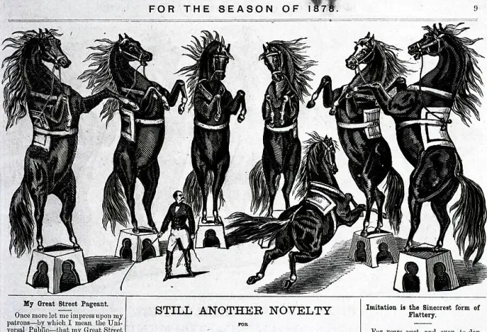 Framed Print : Horses Performing In Circus Framed Print : Horses Performing In Circus